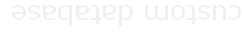 custom database