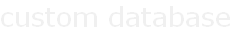 custom database